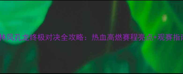 图片 🔥武林风孔龙终极对决全攻略：热血高燃赛程亮点+观赛指南🔥1