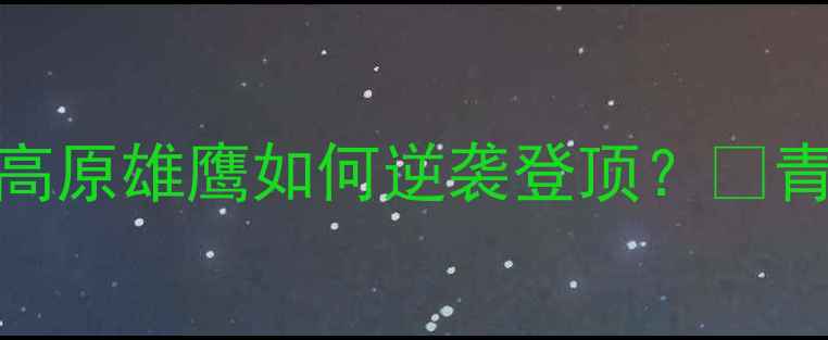 图片 🔥永昌赛季高能回顾！高原雄鹰如何逆袭登顶？🔥青海足球永昌足球队赛季