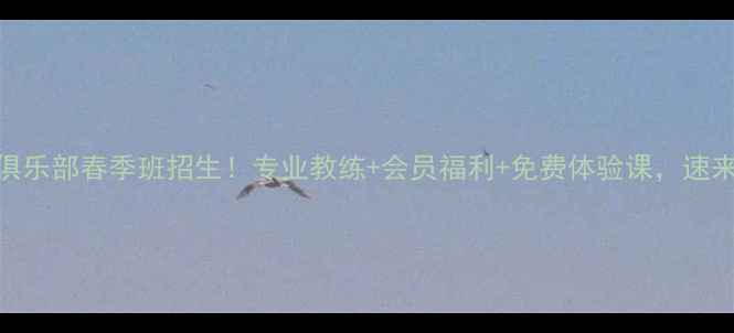 图片 🔥济南巅峰羽毛球俱乐部春季班招生！专业教练+会员福利+免费体验课，速来解锁运动新体验！