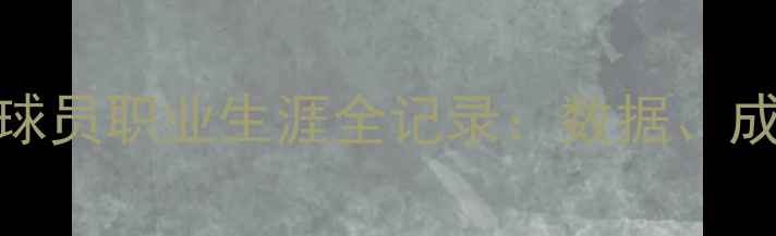 图片 🔥深度Hayashi球员职业生涯全记录：数据、成长与未来挑战1