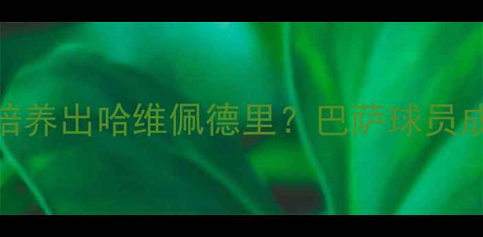 图片 🔥深度诺坎普青训体系如何培养出哈维佩德里？巴萨球员成长密码+未来5大潜力新星！