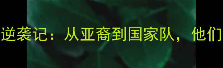 图片 🔥混血华裔归化球员逆袭记：从亚裔到国家队，他们如何改写体育史？🔥