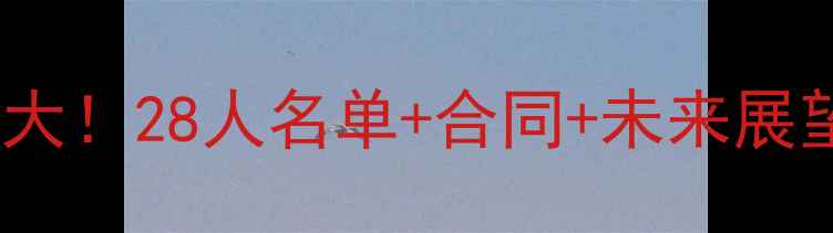 图片 🔥湖人队完整阵容大！28人名单+合同+未来展望（附深度数据）2