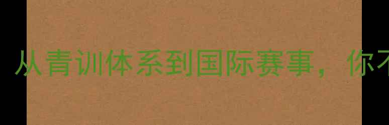 图片 🔥澳洲羽毛球水平大！从青训体系到国际赛事，你不知道的真相在这！🔥