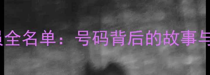 图片 🔥火箭队球员全名单：号码背后的故事与数据表现🔥2