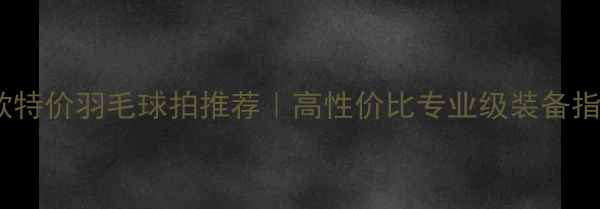 图片 🔥爆款特价羽毛球拍推荐｜高性价比专业级装备指南💥2