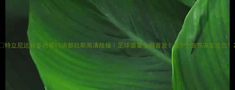 图片 🔥特立尼达和多巴哥VS洪都拉斯高清战报｜足球盛宴全网首发！这5个细节决定胜负！2