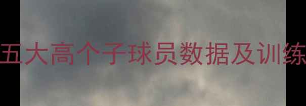 图片 🔥福德森球员身高全！五大高个子球员数据及训练技巧（附身高对比表）