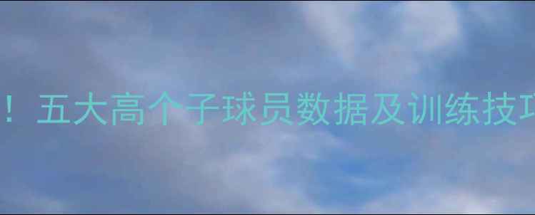 图片 🔥福德森球员身高全！五大高个子球员数据及训练技巧（附身高对比表）2