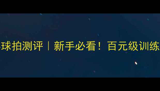 图片 🔥红双喜3006乒乓球拍测评｜新手必看！百元级训练王炸到底值不值？