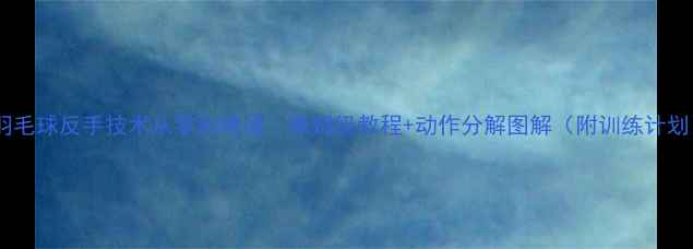 图片 🔥羽毛球反手技术从零到精通｜保姆级教程+动作分解图解（附训练计划）1