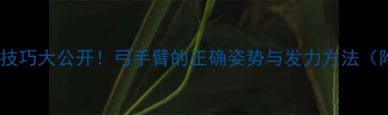 图片 🔥羽毛球扑球技巧大公开！弓手臂的正确姿势与发力方法（附教学视频）2