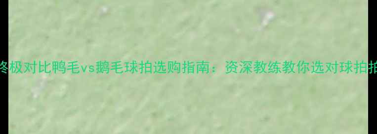 图片 🔥羽毛球拍终极对比鸭毛vs鹅毛球拍选购指南：资深教练教你选对球拍拍出职业感！