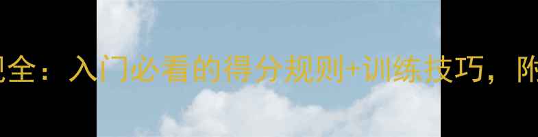 图片 🔥羽毛球新规全：入门必看的得分规则+训练技巧，附动作演示图1