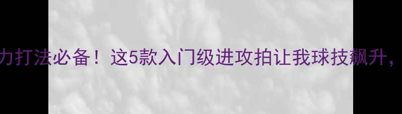 图片 🔥羽毛球暴力打法必备！这5款入门级进攻拍让我球技飙升，附选购攻略