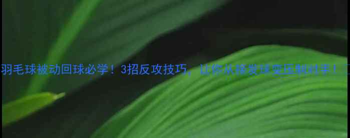 图片 🔥羽毛球被动回球必学！3招反攻技巧，让你从接发球变压制对手！🏸1