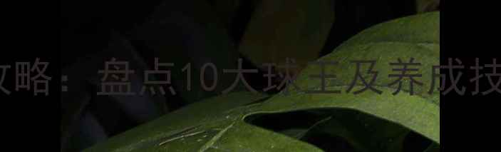 图片 🔥腾讯FIFA23最佳球员攻略：盘点10大球王及养成技巧（附阵容搭配）⚽️2