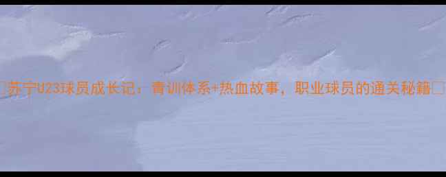 图片 🔥苏宁U23球员成长记：青训体系+热血故事，职业球员的通关秘籍🔥1