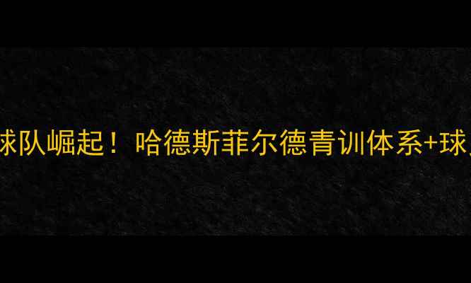 图片 🔥英超中下游球队崛起！哈德斯菲尔德青训体系+球员故事深度💥2