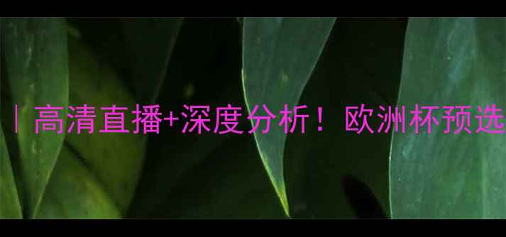 图片 🔥西班牙vs爱尔兰赛事全回顾｜高清直播+深度分析！欧洲杯预选赛这场对决有多燃？🇪🇸🇮🇪