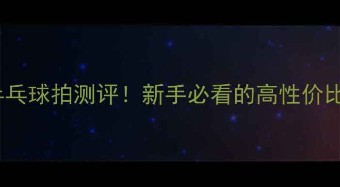 图片 🔥西门729乒乓球拍测评！新手必看的高性价比入门神器💥