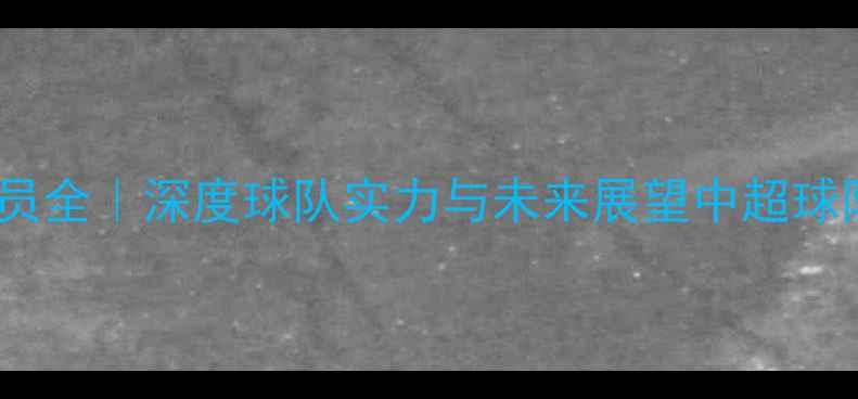 图片 🔥赛季掘进队现役球员全｜深度球队实力与未来展望中超球队现役球员足球动态2