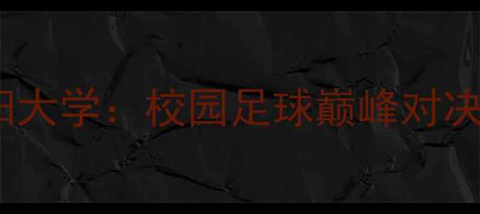 图片 🔥越南西贡FCvs韩国汉阳大学：校园足球巅峰对决，热血赛事全回顾！🏆2