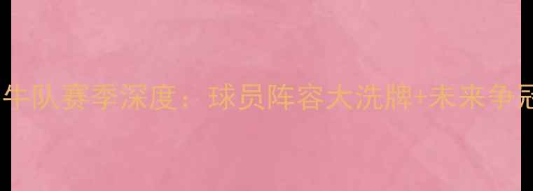 图片 🔥达拉斯小牛队赛季深度：球员阵容大洗牌+未来争冠路线图💥1