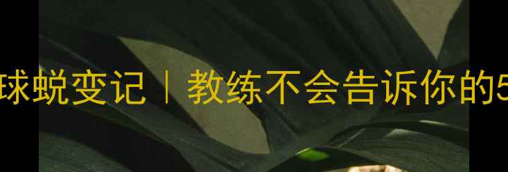 图片 🔥零基础30天羽毛球蜕变记｜教练不会告诉你的5个高效训练秘籍💥