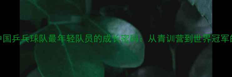 图片 🔥震撼！中国乒乓球队最年轻队员的成长密码：从青训营到世界冠军的蜕变之路