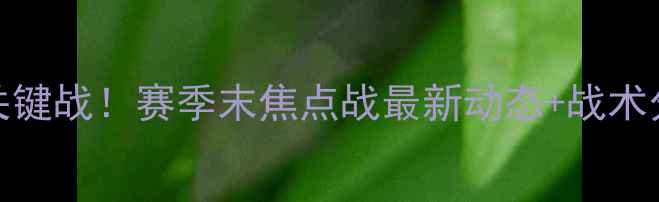 图片 🔥鲁能VS国安争冠关键战！赛季末焦点战最新动态+战术分析（附观赛指南）
