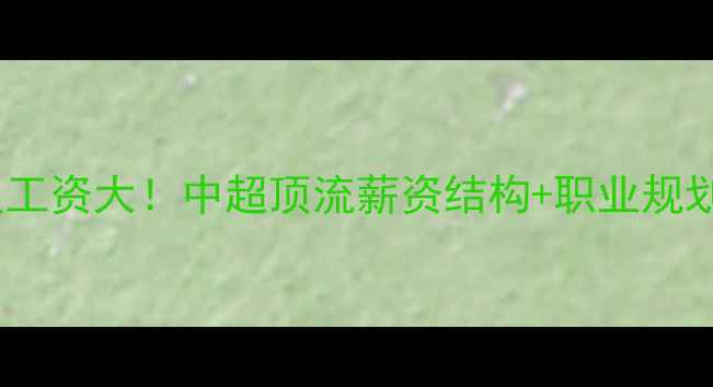图片 🔥鲁能球员工资大！中超顶流薪资结构+职业规划全攻略💰2