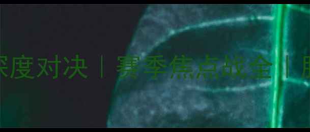 图片 🔥黄蜂VS骑士深度对决｜赛季焦点战全｜胜负手都在这！