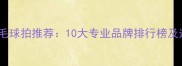 比赛级羽毛球拍推荐10大专业品牌排行榜及选购指南