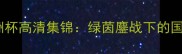 深度伊朗VS越南亚洲杯高清集锦绿茵鏖战下的国家荣耀与足球哲学