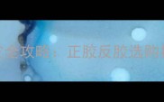 蝴蝶乒乓球胶皮全攻略正胶反胶选购指南与性能深度