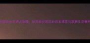 中超转会市场大洗牌球员拆分背后的资本博弈与联赛生态重构