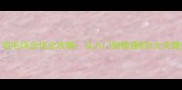 双打羽毛球步伐全攻略从入门到精通的5大关键技巧
