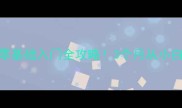 郑欣羽毛球南宁私教课零基础入门全攻略3个月从小白到比赛选手的蜕变秘籍