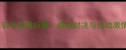 海南陵水羽毛球锦标赛巅峰对决与运动激情全记录