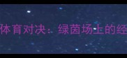 福建vs浙江体育对决绿茵场上的经济强省之争