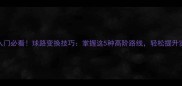 羽毛球入门必看球路变换技巧掌握这5种高阶路线轻松提升实战水平