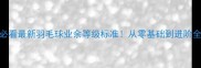 新手必看最新羽毛球业余等级标准从零基础到进阶全攻略