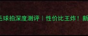 凯胜KS30羽毛球拍深度测评性价比王炸新手进阶必看