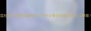 单层杉木乒乓球底板测评新手必看的高性价比入门神器