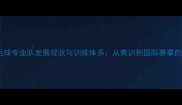 重庆市羽毛球专业队发展现状与训练体系从青训到国际赛事的突破之路