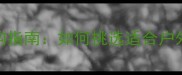室外乒乓球拍选购指南如何挑选适合户外运动的耐用装备