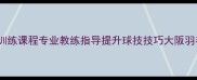 大阪羽毛球训练课程专业教练指导提升球技技巧大阪羽毛球俱乐部