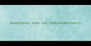 羽毛球回球技巧全高远球吊球平抽快挡实战教学与训练方法