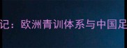 旅欧球员成长记欧洲青训体系与中国足球的蜕变之路